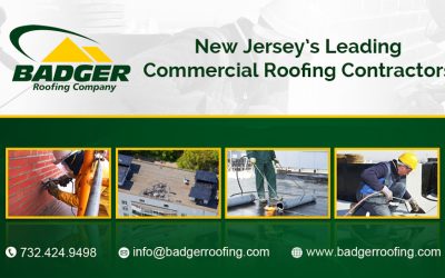 Badger Roofing Inc